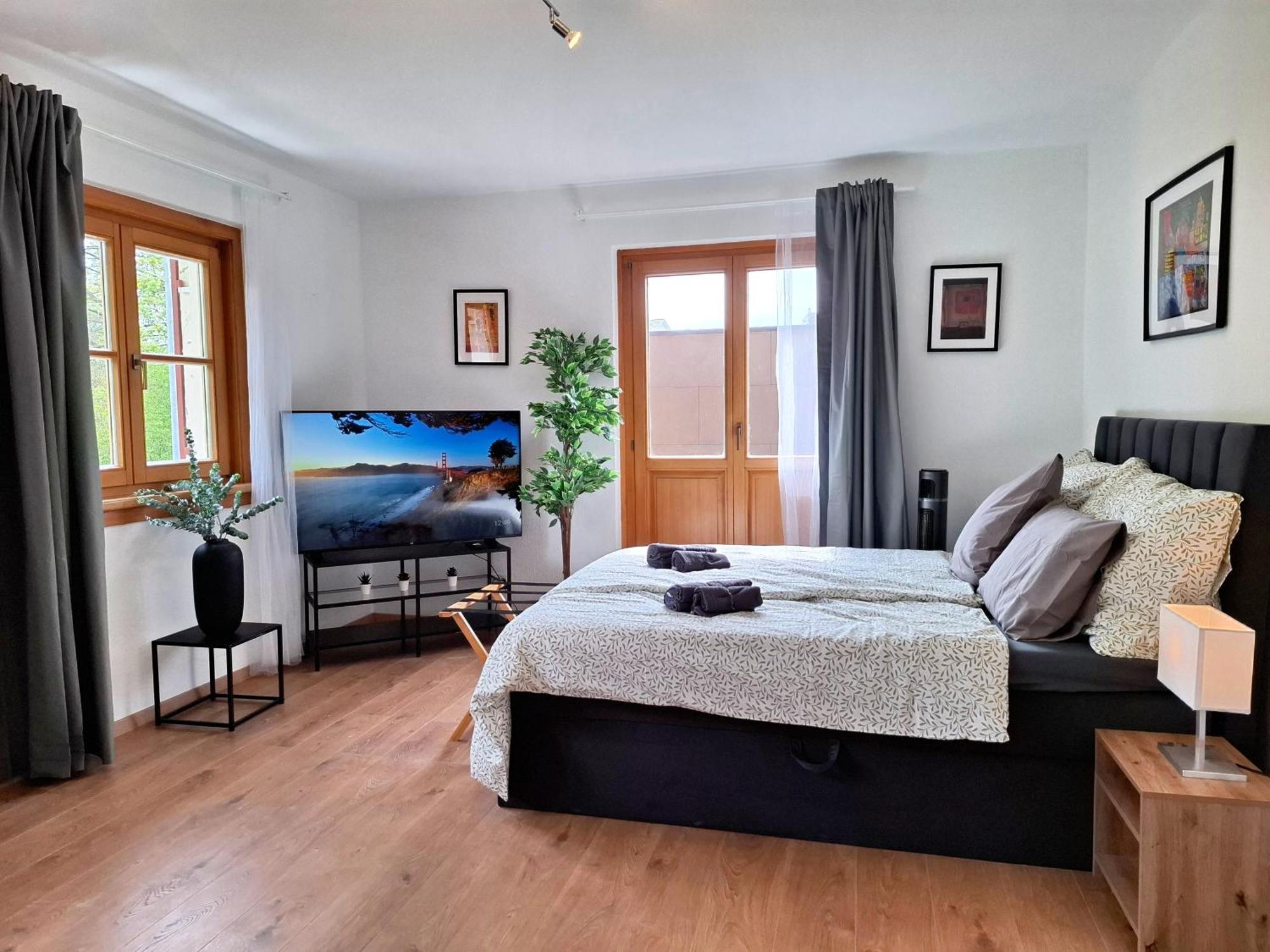 Family And Group Apartment Bregenz